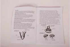 Disney Minnie Bow-Tique Cykelhjelm - 52-56 Cm 20 Disney Minnie Bow-Tique Cykelhjelm - 52-56 Cm -Cykler Salgsbutik hand2 jv2z 4u